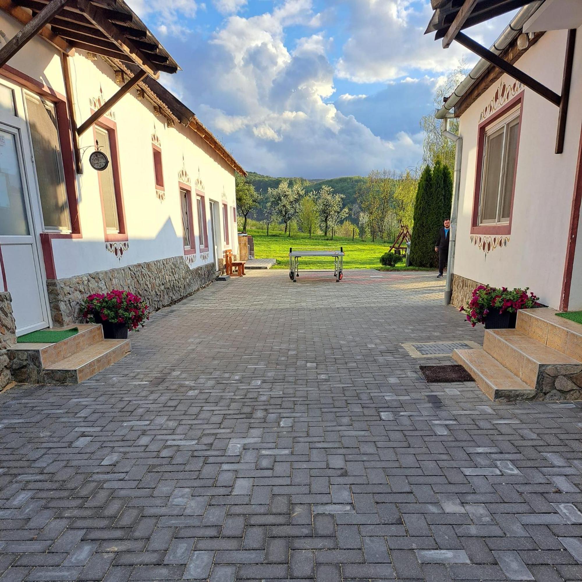 Pensiunea Turistica Retreat Belvedere Vadu Crisului Exterior foto
